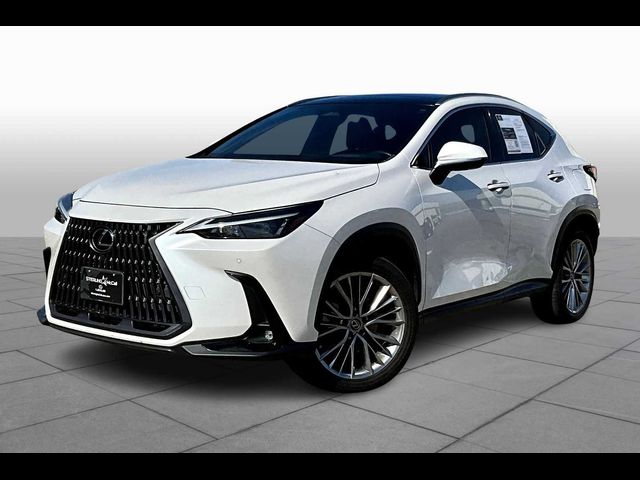 2022 Lexus NX 350 Luxury