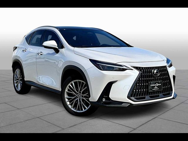 2022 Lexus NX 350 Luxury