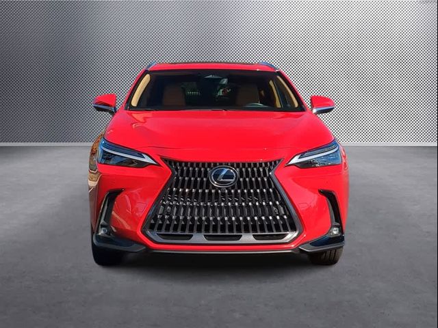 2022 Lexus NX 350 Luxury