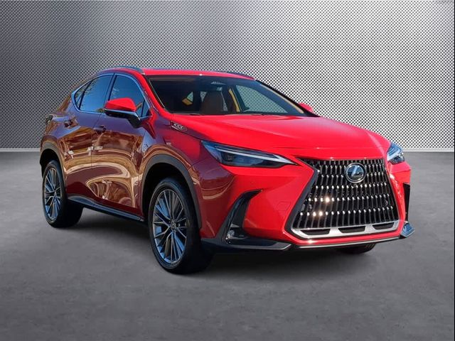 2022 Lexus NX 350 Luxury