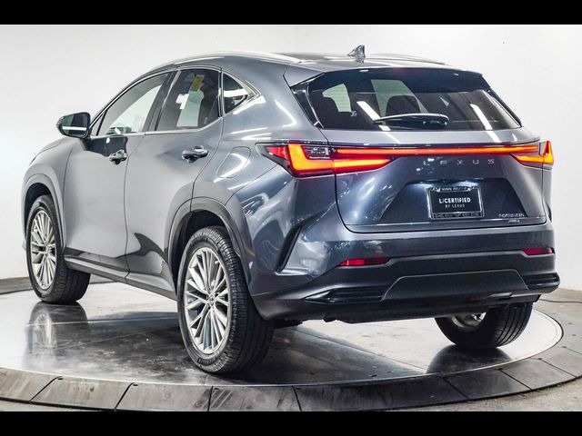 2022 Lexus NX 350h Luxury