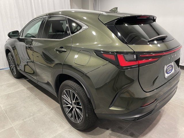 2022 Lexus NX 250