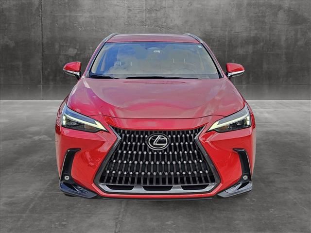 2022 Lexus NX 250