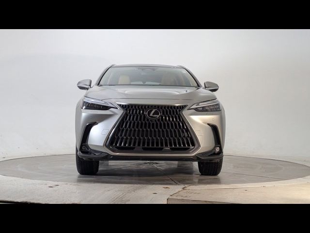 2022 Lexus NX 250 Luxury