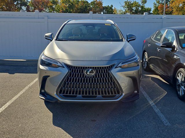 2022 Lexus NX 250 Premium