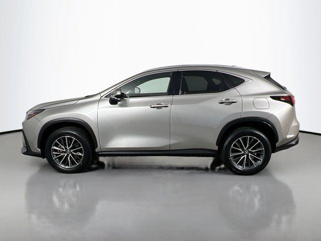 2022 Lexus NX 350