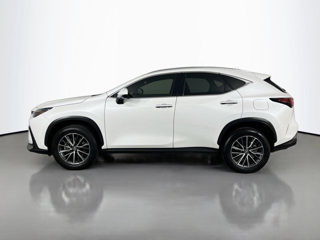 2022 Lexus NX 350