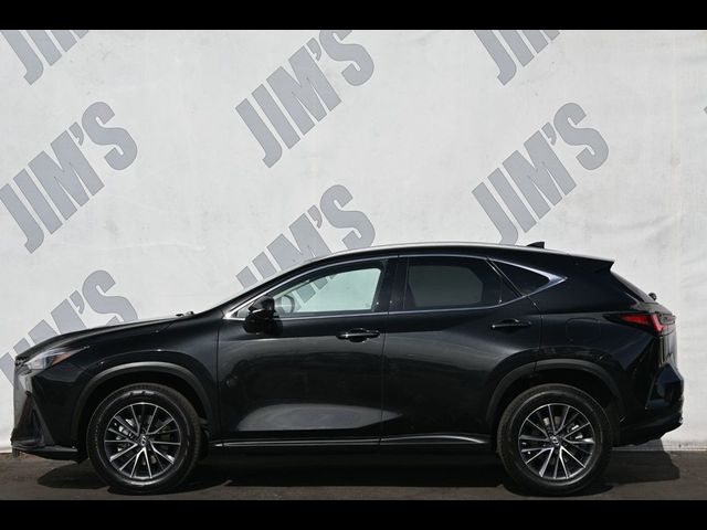 2022 Lexus NX 350