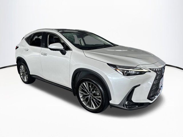 2022 Lexus NX 350 Luxury