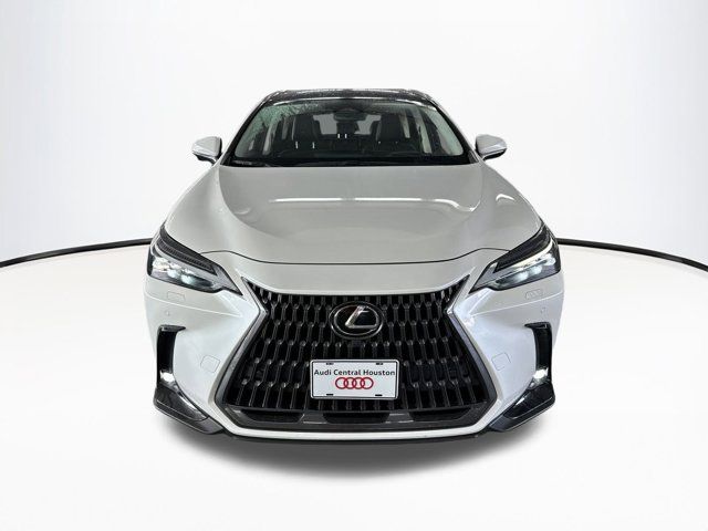 2022 Lexus NX 350 Luxury