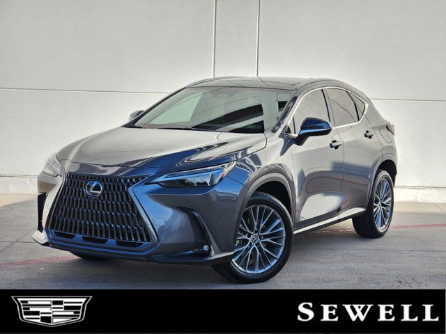 2022 Lexus NX 350 Luxury