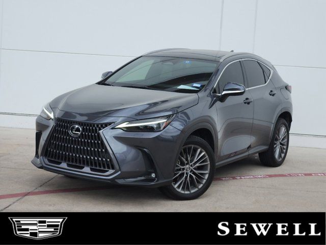 2022 Lexus NX 350 Luxury