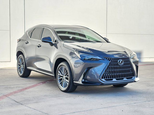 2022 Lexus NX 350 Luxury