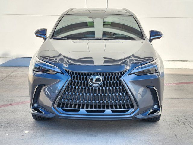 2022 Lexus NX 350 Luxury