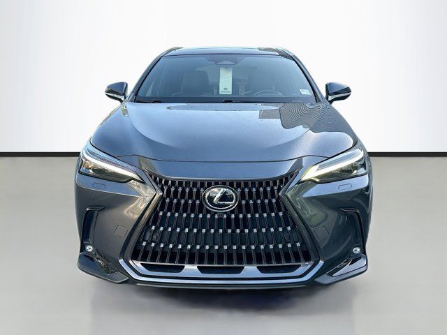 2022 Lexus NX 350 Luxury