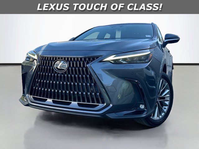 2022 Lexus NX 350 Luxury