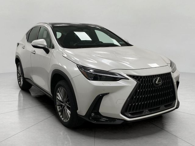 2022 Lexus NX 350 Luxury