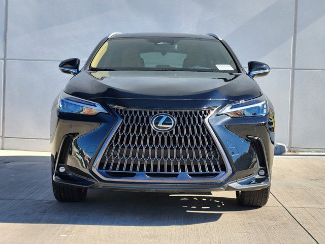 2022 Lexus NX 350 Premium