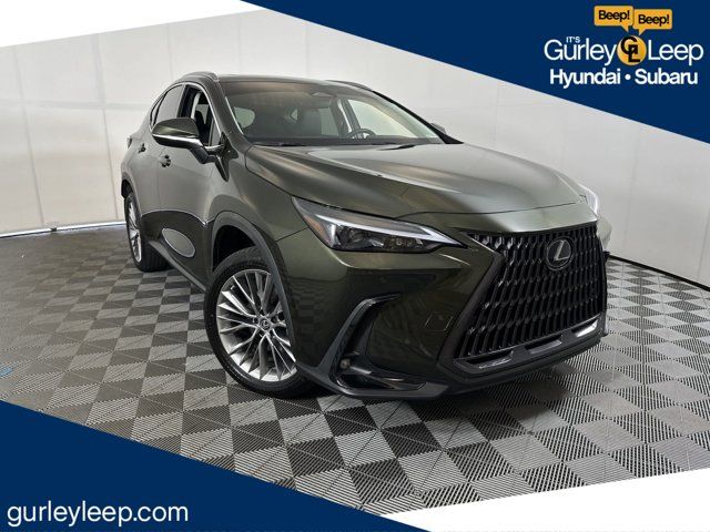 2022 Lexus NX 350 Premium