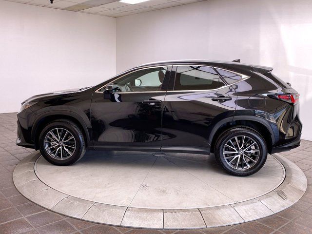 2022 Lexus NX 350 Premium