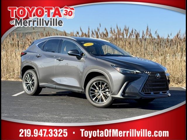 2022 Lexus NX 350 Premium