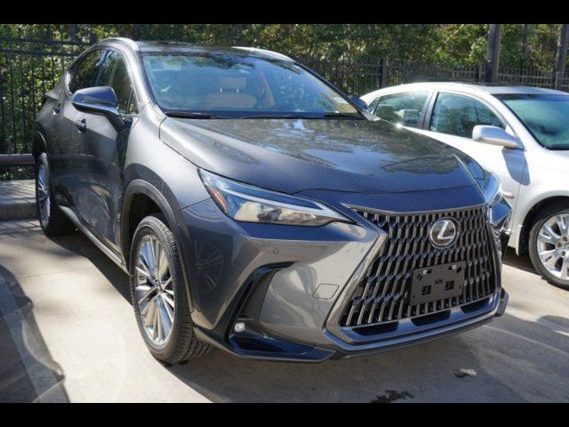 2022 Lexus NX 350 Premium