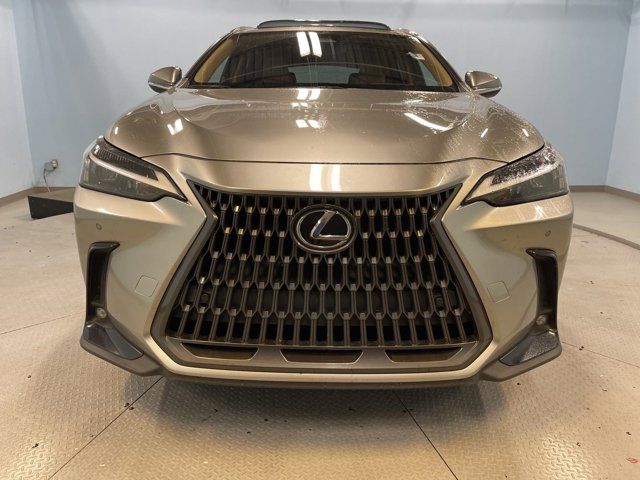 2022 Lexus NX 350 Premium