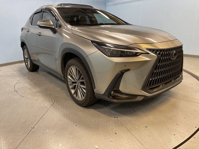 2022 Lexus NX 350 Premium