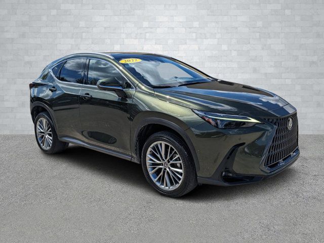 2022 Lexus NX 350h Luxury