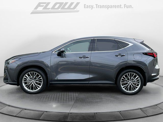 2022 Lexus NX 350h Premium