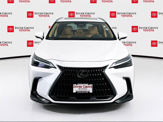 2022 Lexus NX 450h+ Luxury