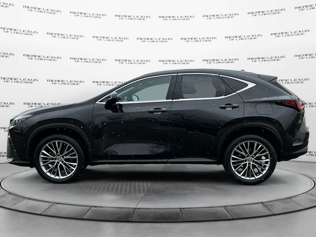 2022 Lexus NX 350 Premium