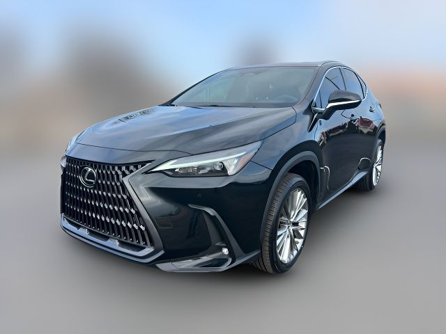 2022 Lexus NX 350 Premium