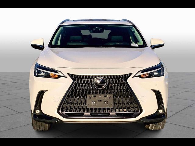 2022 Lexus NX 350h Premium