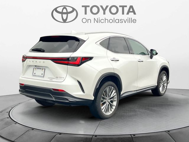 2022 Lexus NX 350h Premium