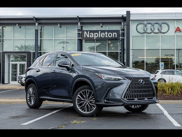 2022 Lexus NX 350 Premium