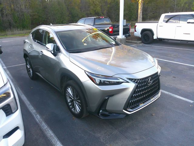 2022 Lexus NX 350h Premium