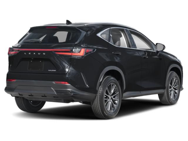 2022 Lexus NX 250 Premium