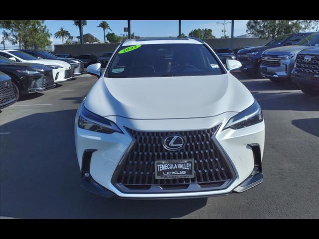 2022 Lexus NX 250 Premium