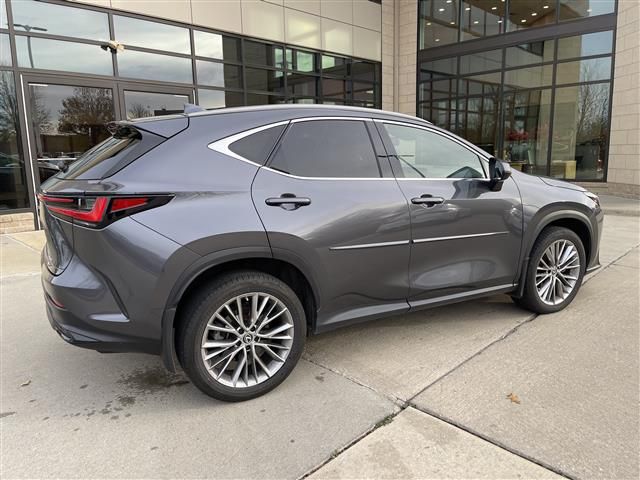 2022 Lexus NX 350 Premium