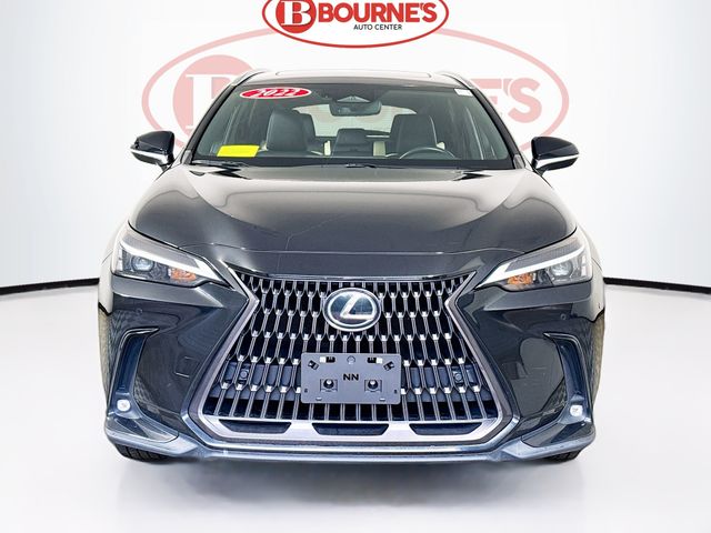 2022 Lexus NX 350 Premium