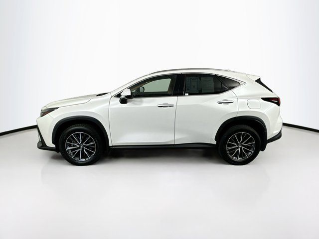 2022 Lexus NX 350 Premium