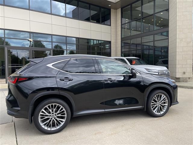 2022 Lexus NX 350h Luxury