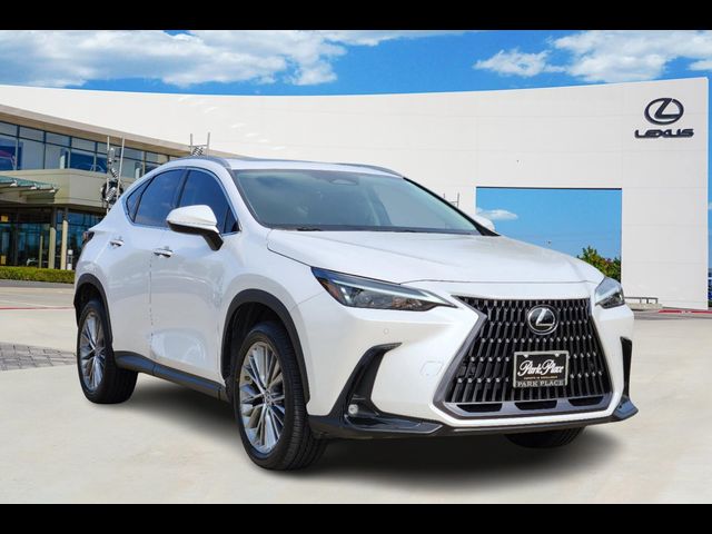 2022 Lexus NX 350h Premium