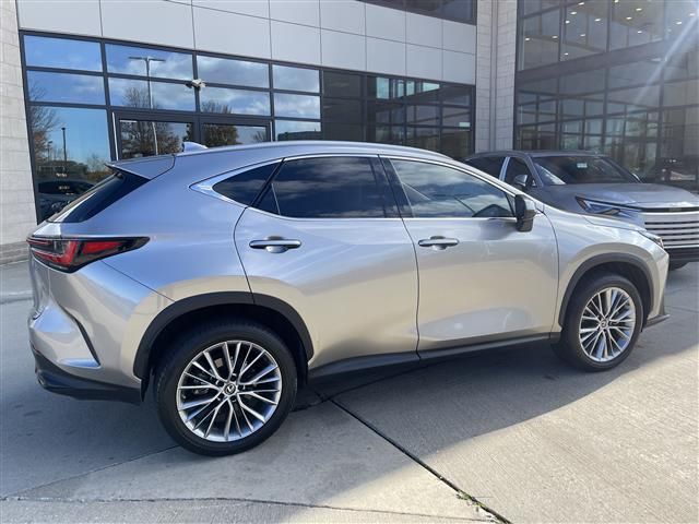 2022 Lexus NX 350h Premium