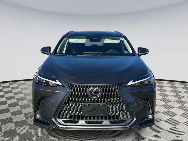 2022 Lexus NX 350h Premium