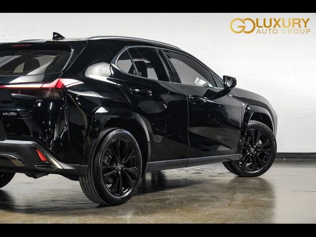 2022 Lexus UX 200 F Sport