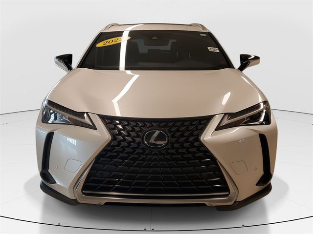 2022 Lexus UX 250h