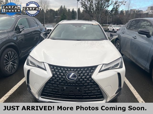 2022 Lexus UX 250h