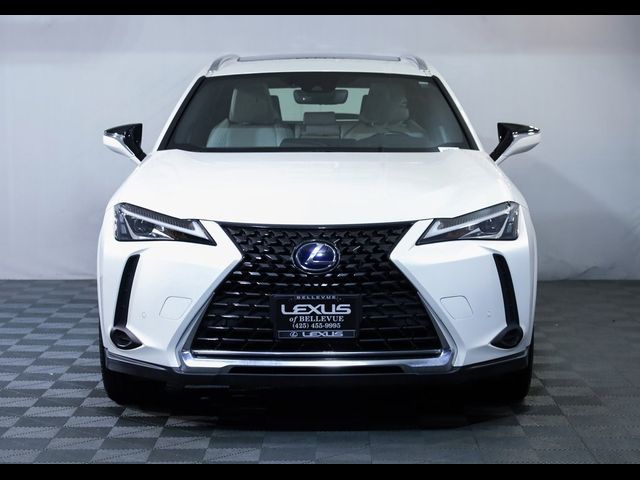 2022 Lexus UX 250h